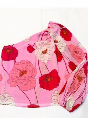 Express One Shoulder Puff Sheer Sleeve Pink Floral Top Size XS